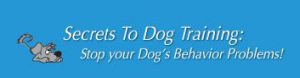 Secrets to Dog Training