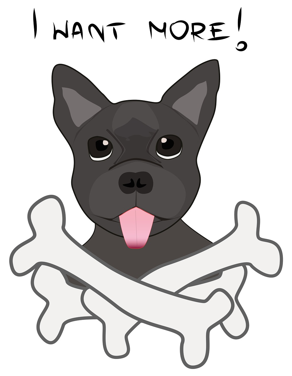 Why Are Rawhide Bones Dangerous For Your Dogs? Pets Have Purpose